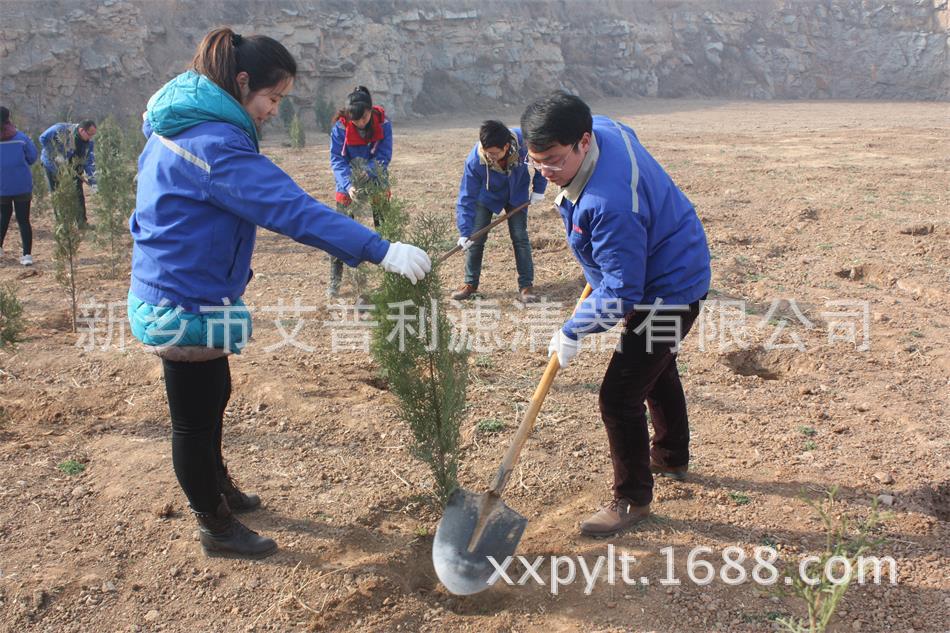 艾普利鳳凰山植樹，為美麗新鄉(xiāng)添新綠(圖2)